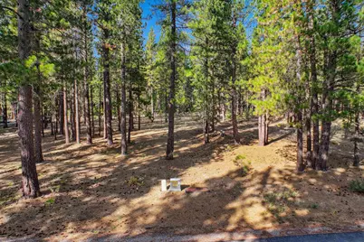 181 Quail View Circle, Clio, CA 96106 - Photo 8
