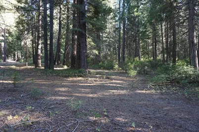 1986 Rebecca Lane, Quincy, CA 95971 - Photo 46