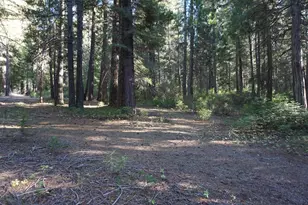 1986 Rebecca Ln, Quincy, CA 95971 - Photo 46