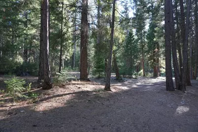 1986 Rebecca Lane, Quincy, CA 95971 - Photo 48