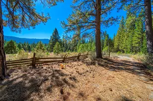 1446 Hwy 89, Clio, CA 96106 - Photo 38