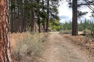 1446 Hwy 89, Clio, CA 96106 - Photo 44