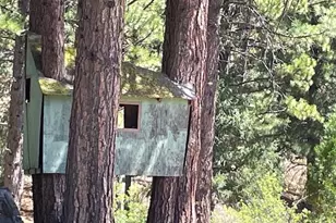 1446 Hwy 89, Clio, CA 96106 - Photo 36