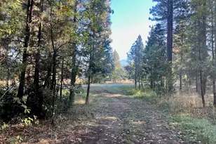 1222 Quincy La Porte Rd, Quincy, CA 95971 - Photo 1