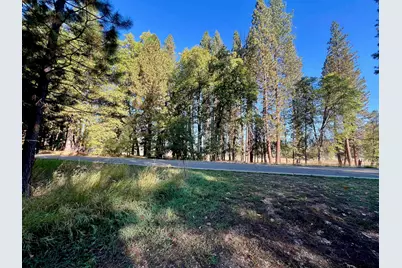 1222 Quincy La Porte Road, Quincy, CA 95971 - Photo 10