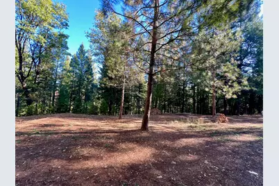 1222 Quincy La Porte Road, Quincy, CA 95971 - Photo 22