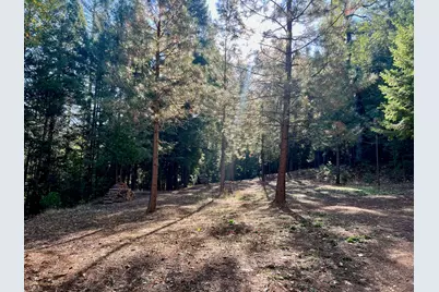1222 Quincy La Porte Road, Quincy, CA 95971 - Photo 24