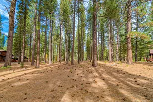 24 Deer Creek Crossing, Clio, CA 96106 - Photo 48