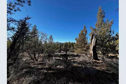 553 Great Spirit #11, Portola, CA 96122 - Photo 10