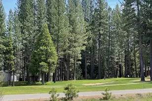 101 Poplar Valley Rd, Blairsden, CA 96103 - Photo 2