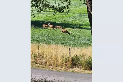 1168 Chandler 22N03, Quincy, CA 95971 - Photo 22