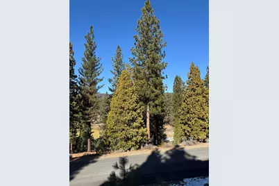 78 S Ridge Road, Portola, CA 96122 - Photo 14