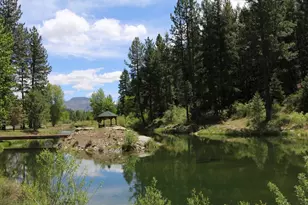 1000 Golden Feather Rnch Rd, Graeagle, CA 96103 - Photo 4