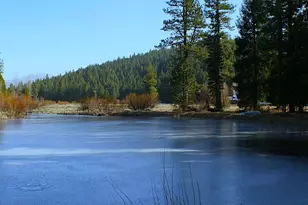 1000 Golden Feather Rnch Rd, Graeagle, CA 96103 - Photo 18