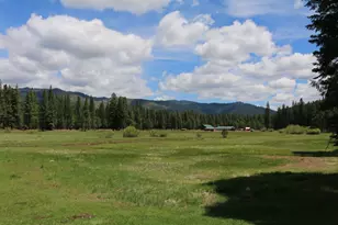1000 Golden Feather Rnch Rd, Graeagle, CA 96103 - Photo 10