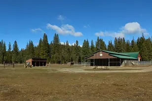 1000 Golden Feather Rnch Rd, Graeagle, CA 96103 - Photo 6