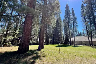 142 Cottonwood Dr, Blairsden, CA 96103 - Photo 1