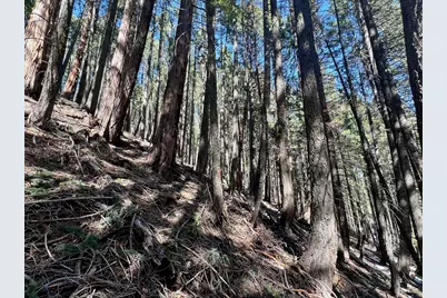 84 Yonkalla Trail, Graeagle, CA 96103 - Photo 28