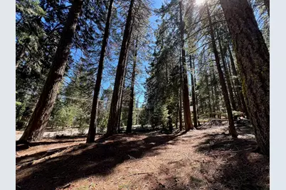 84 Yonkalla Trail, Graeagle, CA 96103 - Photo 2