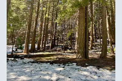 84 Yonkalla Trail, Graeagle, CA 96103 - Photo 10