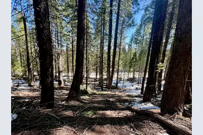84 Yonkalla Trail, Graeagle, CA 96103 - Photo 26