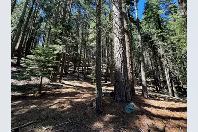 84 Yonkalla Trail, Graeagle, CA 96103 - Photo 6