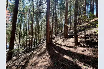 84 Yonkalla Trail, Graeagle, CA 96103 - Photo 30
