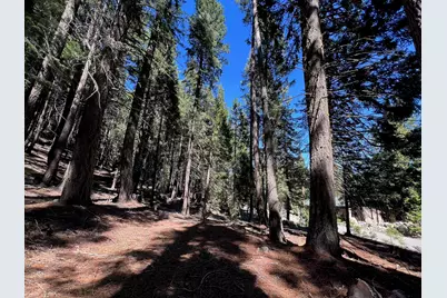 84 Yonkalla Trail, Graeagle, CA 96103 - Photo 1