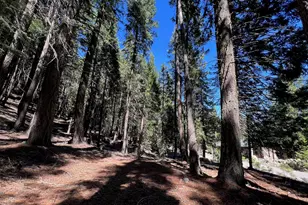 84 Yonkalla Trail, Graeagle, CA 96103 - Photo 1