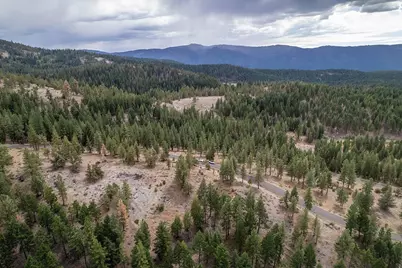 245 Eagles Nest, Portola, CA 96122 - Photo 2