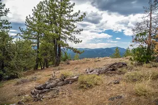 245 Eagles Nest, Portola, CA 96122 - Photo 14