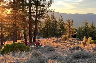 245 Eagles Nest, Portola, CA 96122 - Photo 26