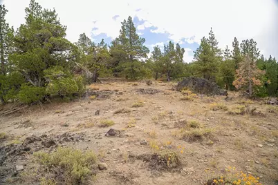 321 Eagles Nest, Portola, CA 96161 - Photo 2