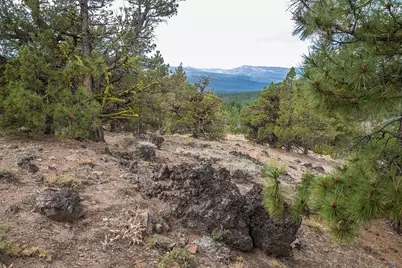 321 Eagles Nest, Portola, CA 96161 - Photo 10