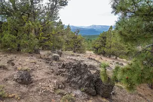 321 Eagles Nest, Portola, CA 96161 - Photo 10