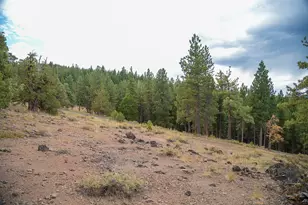 321 Eagles Nest, Portola, CA 96161 - Photo 4