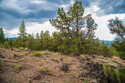 321 Eagles Nest, Portola, CA 96161 - Photo 6