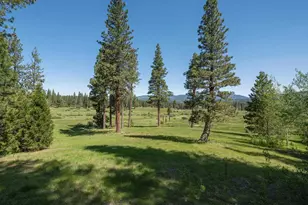 792 Boulder Dr, Clio, CA 96106 - Photo 38
