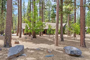 355 Quail View Cir, Clio, CA 96106 - Photo 4