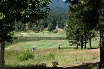 134 Quail View Circle, Clio, CA 96106 - Photo 36