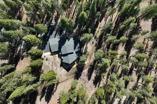 213 Cody Dr, Clio, CA 96106 - Photo 40