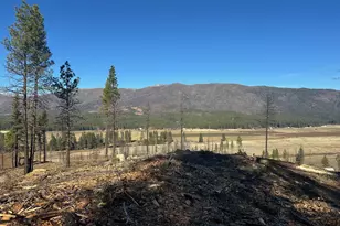 19301 Valley View Dr, Greenville, CA 95947 - Photo 16