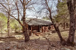 1771 Diamond Mountain Rd, Greenville, CA 95947 - Photo 28