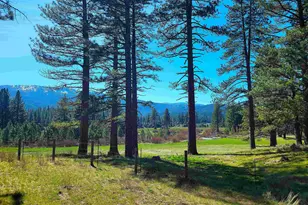 70 Cassidy Dr, Clio, CA 96103 - Photo 8