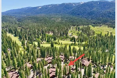 27 One Horse Way, Clio, CA 96106 - Photo 34