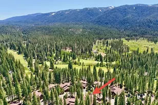 27 One Horse Way, Clio, CA 96106 - Photo 34