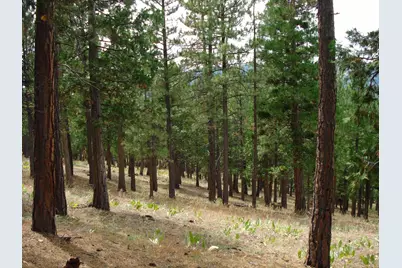 307 Big Cedar Lane, Portola, CA 96122 - Photo 6