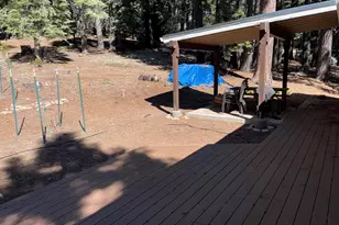 831 Timber Ridge Rd, Lake Almanor, CA 96137 - Photo 22