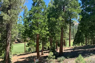 2066 Grizzly Ranch Rd, Portola, CA 96122 - Photo 1