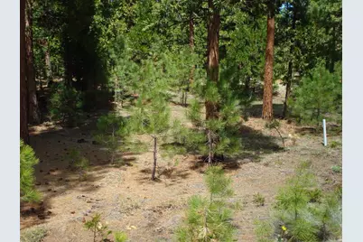 745 Blacktail Ridge, Portola, CA 96122 - Photo 4